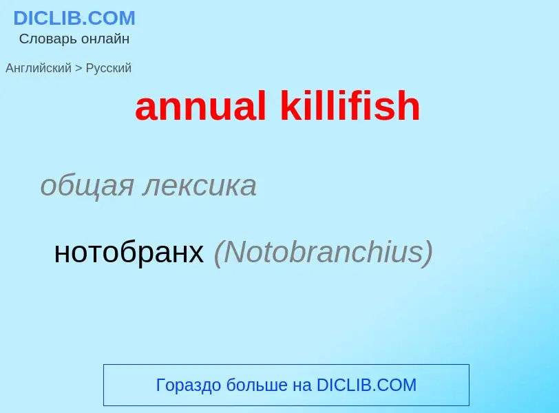 ¿Cómo se dice annual killifish en Ruso? Traducción de &#39annual killifish&#39 al Ruso