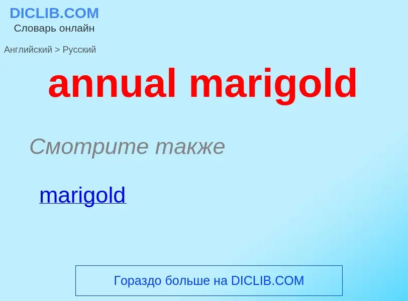 Как переводится annual marigold на Русский язык