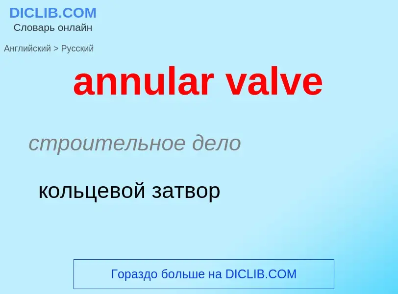 Как переводится annular valve на Русский язык