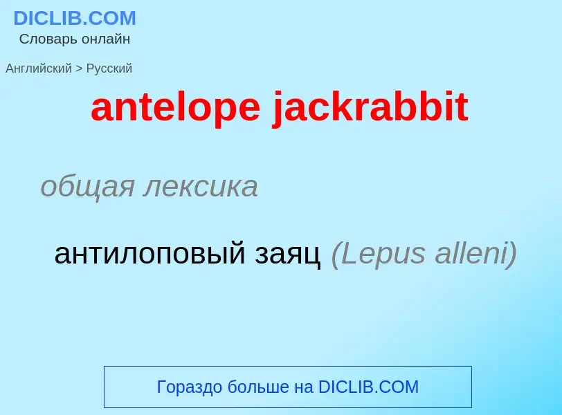 ¿Cómo se dice antelope jackrabbit en Ruso? Traducción de &#39antelope jackrabbit&#39 al Ruso