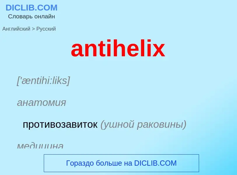 Как переводится antihelix на Русский язык