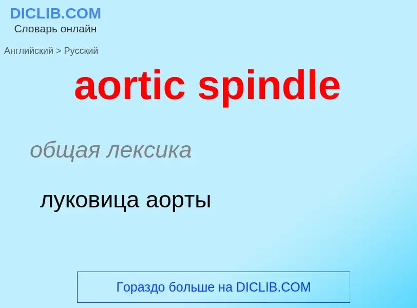 Как переводится aortic spindle на Русский язык