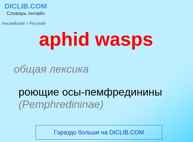 Μετάφραση του &#39aphid wasps&#39 σε Ρωσικά