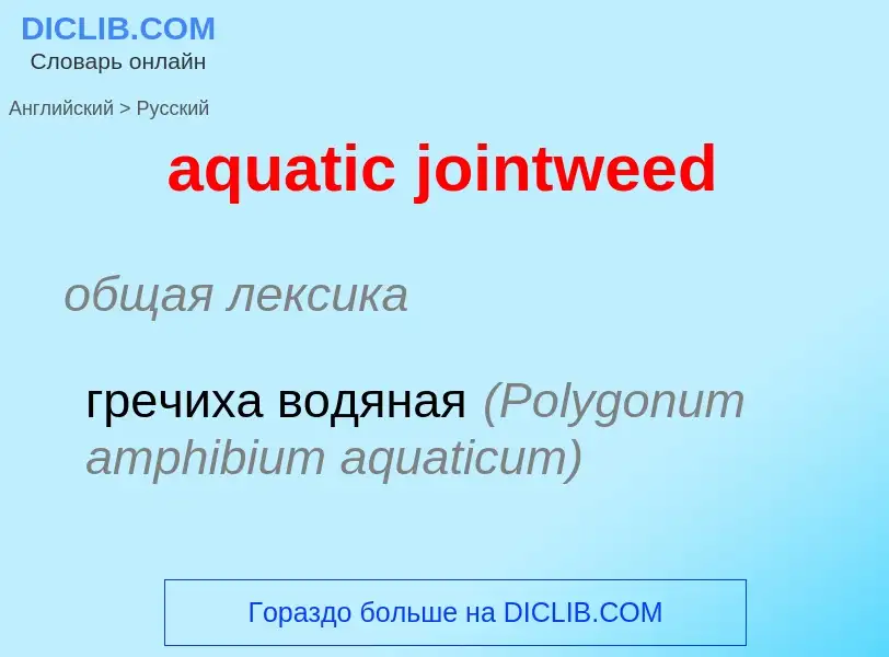 Как переводится aquatic jointweed на Русский язык