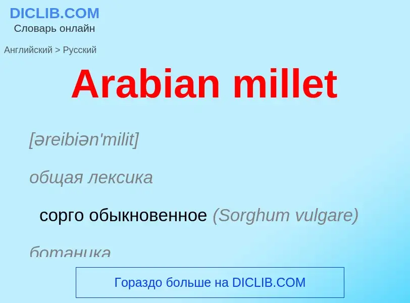 Übersetzung von &#39Arabian millet&#39 in Russisch