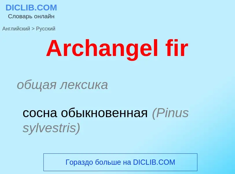 Como se diz Archangel fir em Russo? Tradução de &#39Archangel fir&#39 em Russo