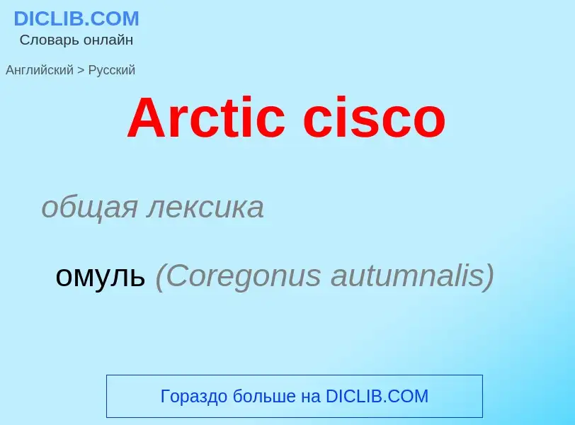 What is the الروسية for Arctic cisco? Translation of &#39Arctic cisco&#39 to الروسية