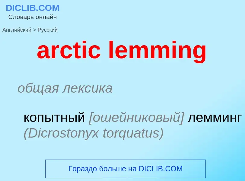 Как переводится arctic lemming на Русский язык