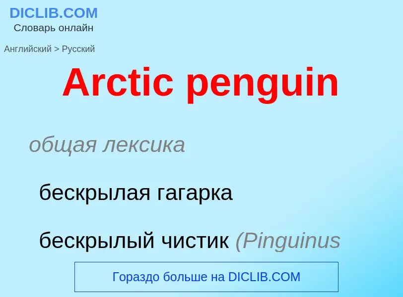 Как переводится Arctic penguin на Русский язык