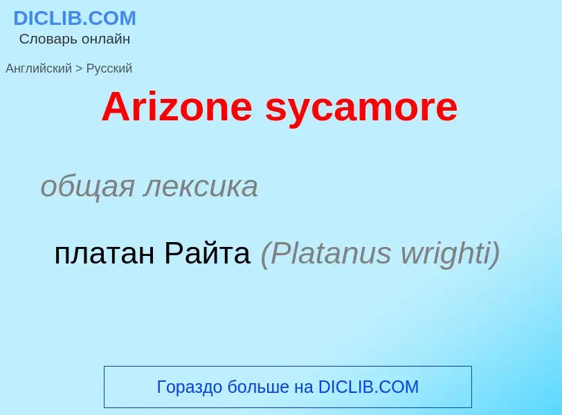 Como se diz Arizone sycamore em Russo? Tradução de &#39Arizone sycamore&#39 em Russo