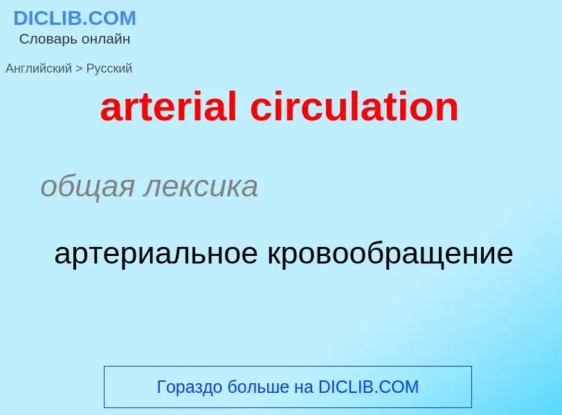 Как переводится arterial circulation на Русский язык