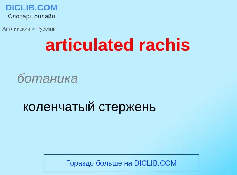 ¿Cómo se dice articulated rachis en Ruso? Traducción de &#39articulated rachis&#39 al Ruso