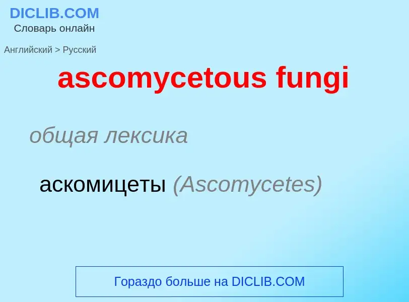 Μετάφραση του &#39ascomycetous fungi&#39 σε Ρωσικά