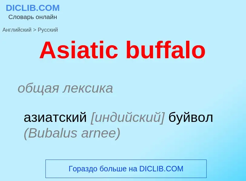 Как переводится Asiatic buffalo на Русский язык