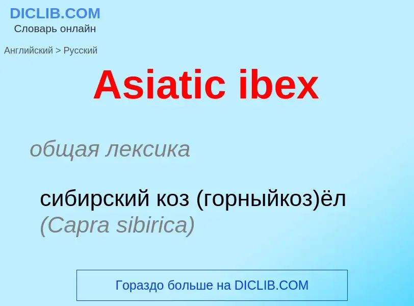 ¿Cómo se dice Asiatic ibex en Ruso? Traducción de &#39Asiatic ibex&#39 al Ruso