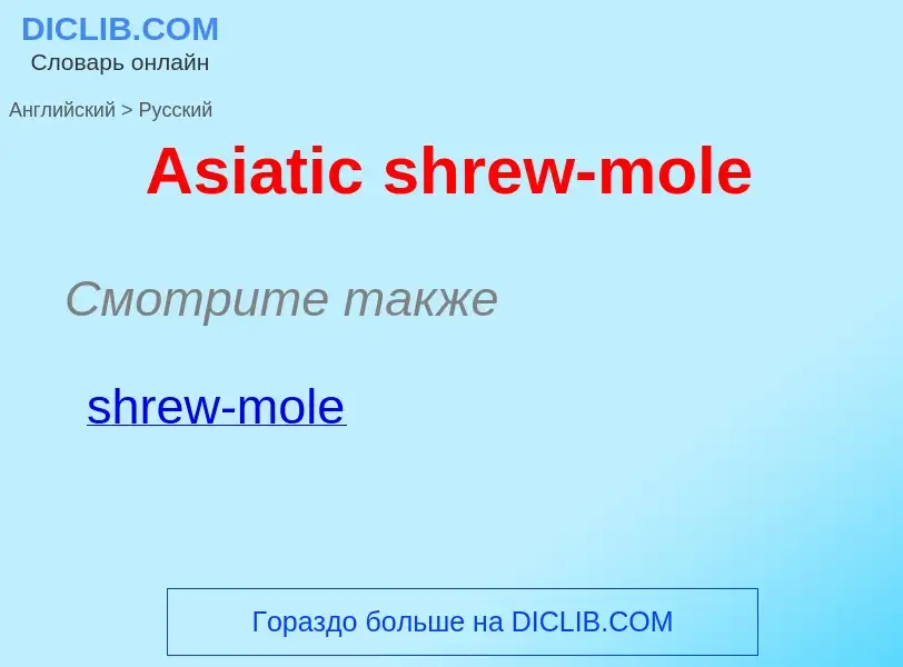 Μετάφραση του &#39Asiatic shrew-mole&#39 σε Ρωσικά