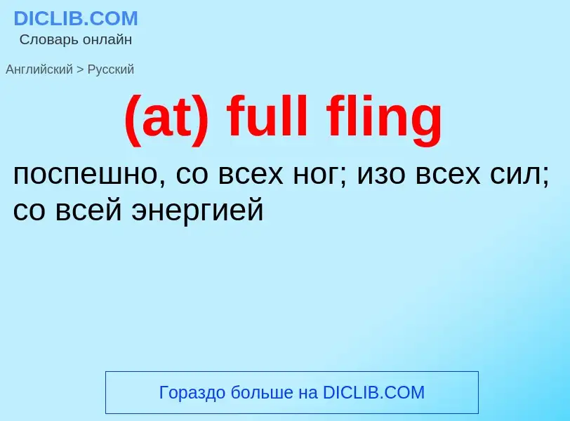 Как переводится (at) full fling на Русский язык