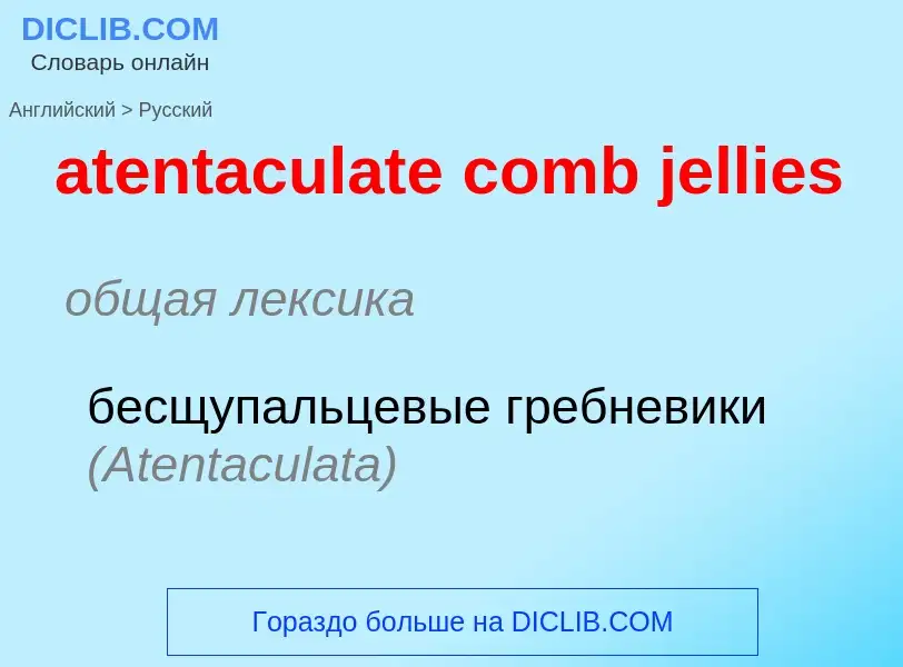 ¿Cómo se dice atentaculate comb jellies en Ruso? Traducción de &#39atentaculate comb jellies&#39 al 