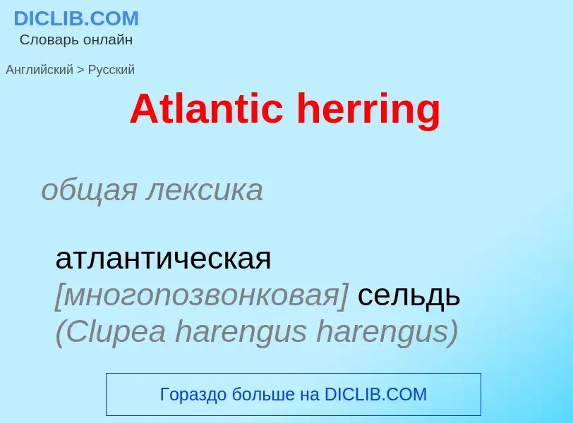 Как переводится Atlantic herring на Русский язык