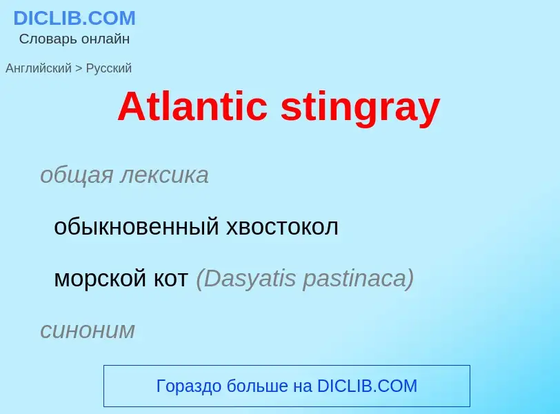 Как переводится Atlantic stingray на Русский язык