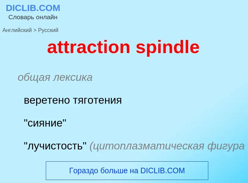 Как переводится attraction spindle на Русский язык