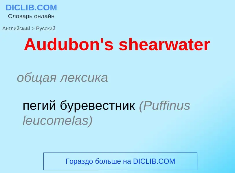 ¿Cómo se dice Audubon's shearwater en Ruso? Traducción de &#39Audubon's shearwater&#39 al Ruso