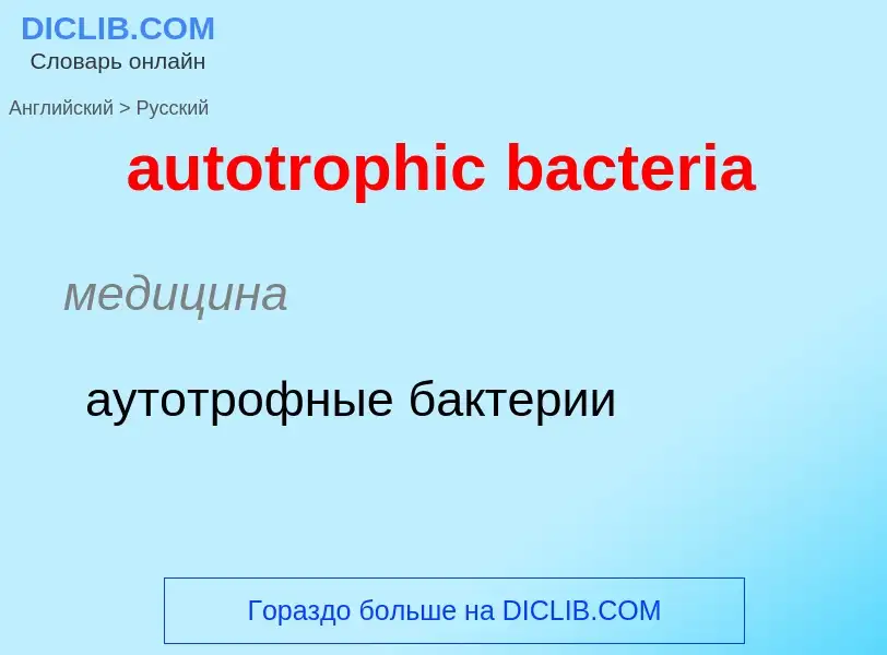 ¿Cómo se dice autotrophic bacteria en Ruso? Traducción de &#39autotrophic bacteria&#39 al Ruso