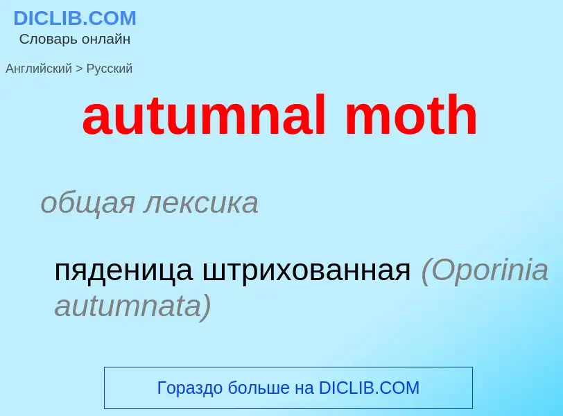 ¿Cómo se dice autumnal moth en Ruso? Traducción de &#39autumnal moth&#39 al Ruso