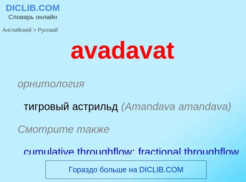 ¿Cómo se dice avadavat en Ruso? Traducción de &#39avadavat&#39 al Ruso