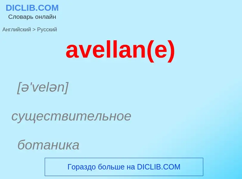 ¿Cómo se dice avellan(e) en Ruso? Traducción de &#39avellan(e)&#39 al Ruso