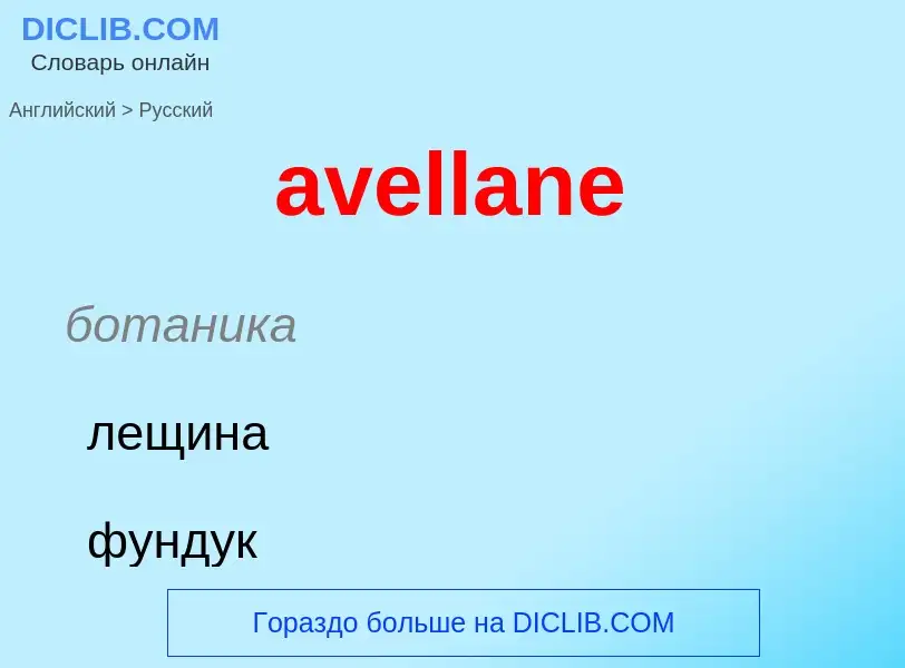 ¿Cómo se dice avellane en Ruso? Traducción de &#39avellane&#39 al Ruso