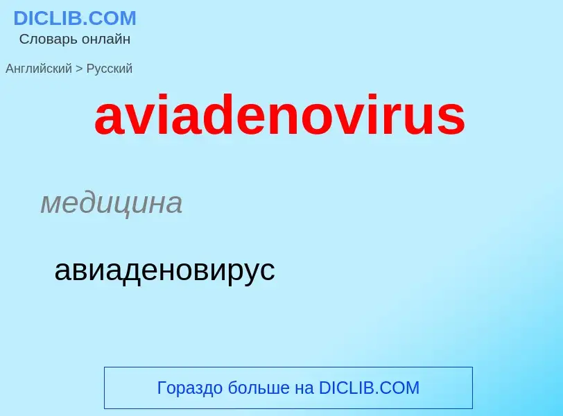 ¿Cómo se dice aviadenovirus en Ruso? Traducción de &#39aviadenovirus&#39 al Ruso