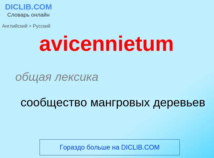 ¿Cómo se dice avicennietum en Ruso? Traducción de &#39avicennietum&#39 al Ruso