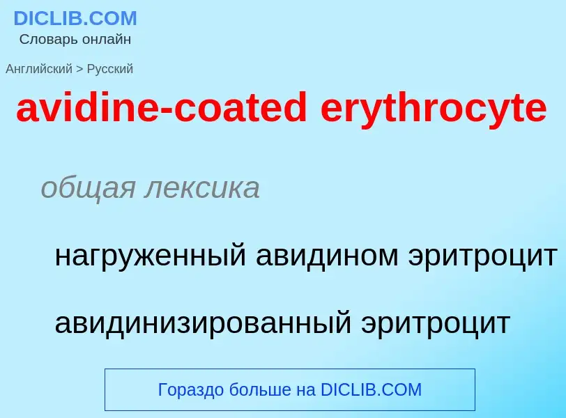 ¿Cómo se dice avidine-coated erythrocyte en Ruso? Traducción de &#39avidine-coated erythrocyte&#39 a