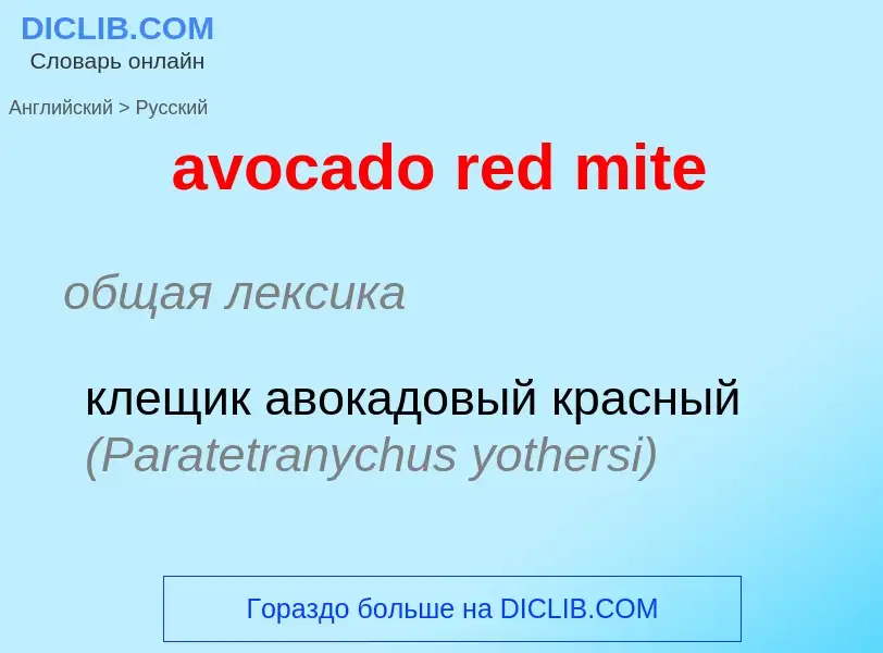 Как переводится avocado red mite на Русский язык