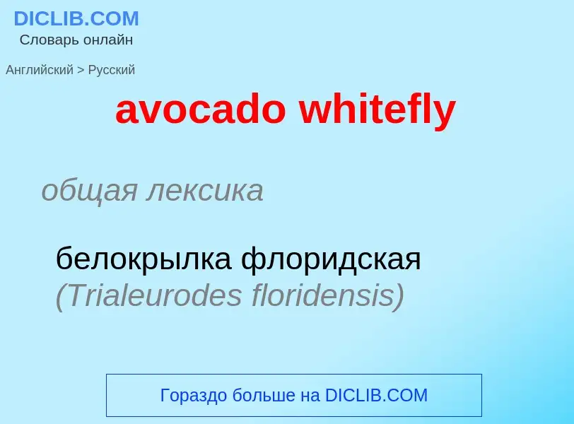 Как переводится avocado whitefly на Русский язык