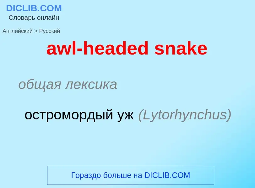 ¿Cómo se dice awl-headed snake en Ruso? Traducción de &#39awl-headed snake&#39 al Ruso