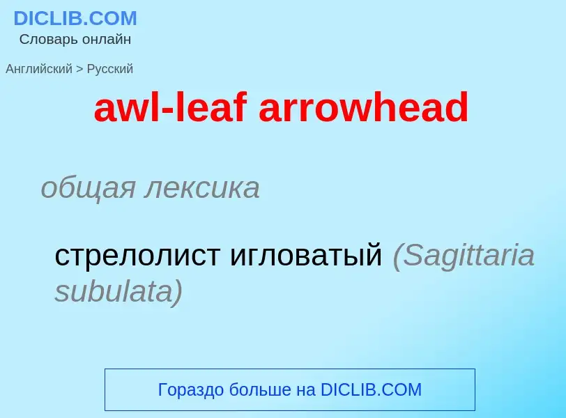 ¿Cómo se dice awl-leaf arrowhead en Ruso? Traducción de &#39awl-leaf arrowhead&#39 al Ruso