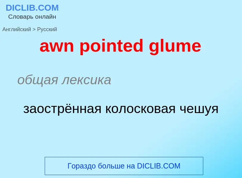 ¿Cómo se dice awn pointed glume en Ruso? Traducción de &#39awn pointed glume&#39 al Ruso