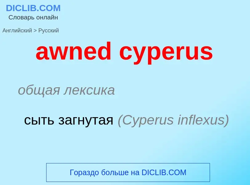 Как переводится awned cyperus на Русский язык