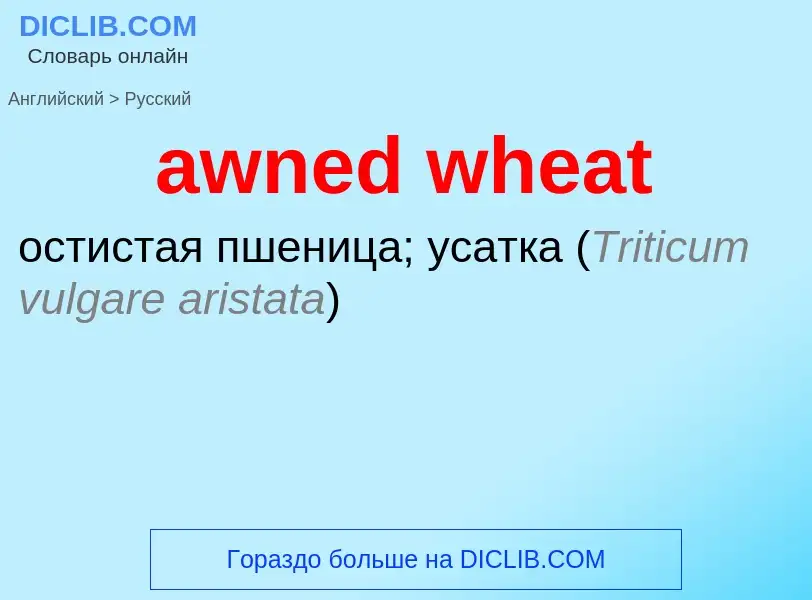 ¿Cómo se dice awned wheat en Ruso? Traducción de &#39awned wheat&#39 al Ruso