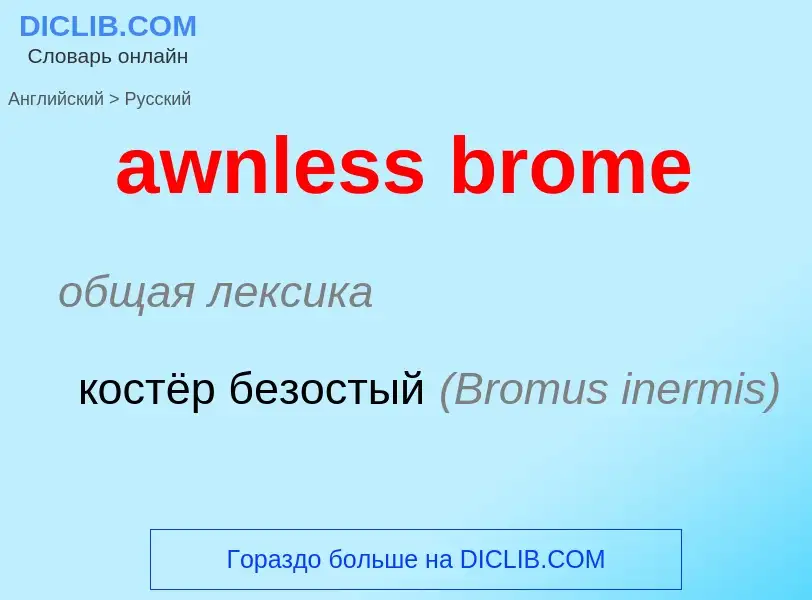 Как переводится awnless brome на Русский язык