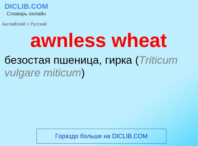 Как переводится awnless wheat на Русский язык