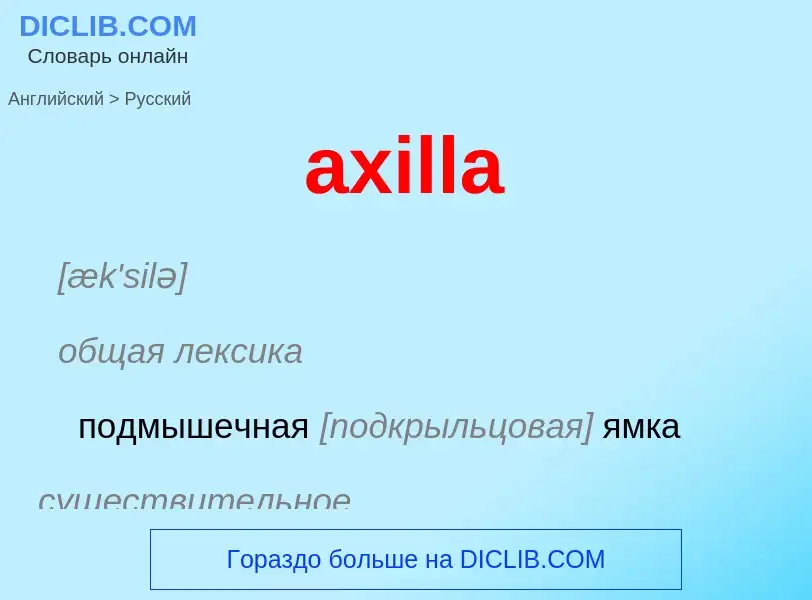 Как переводится axilla на Русский язык