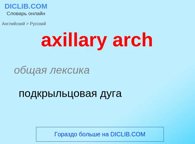 Как переводится axillary arch на Русский язык