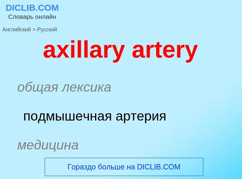 ¿Cómo se dice axillary artery en Ruso? Traducción de &#39axillary artery&#39 al Ruso