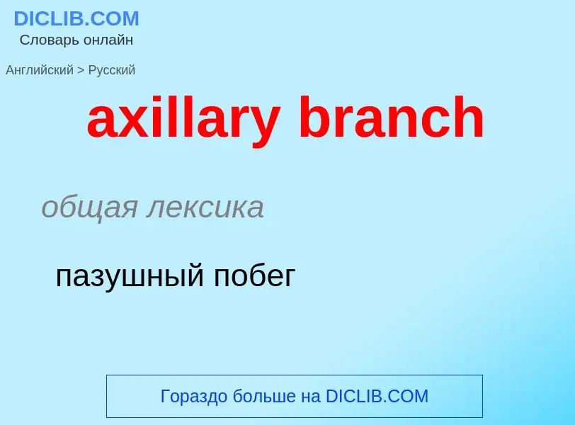 Как переводится axillary branch на Русский язык