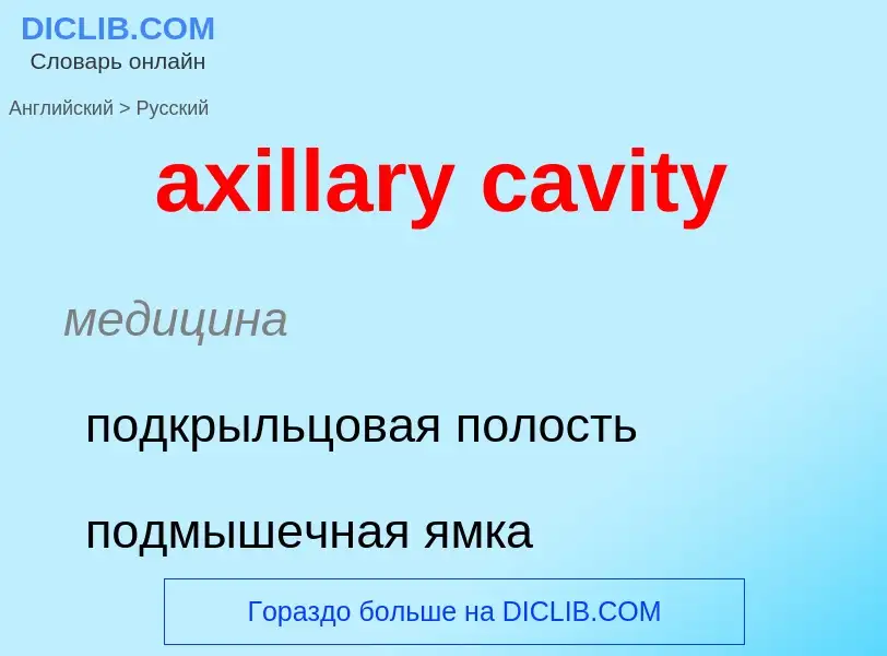 ¿Cómo se dice axillary cavity en Ruso? Traducción de &#39axillary cavity&#39 al Ruso