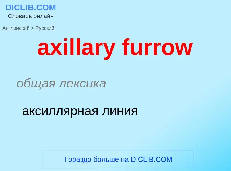 Как переводится axillary furrow на Русский язык