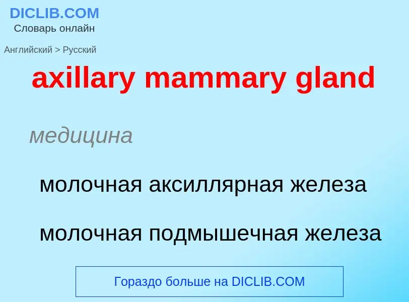 ¿Cómo se dice axillary mammary gland en Ruso? Traducción de &#39axillary mammary gland&#39 al Ruso